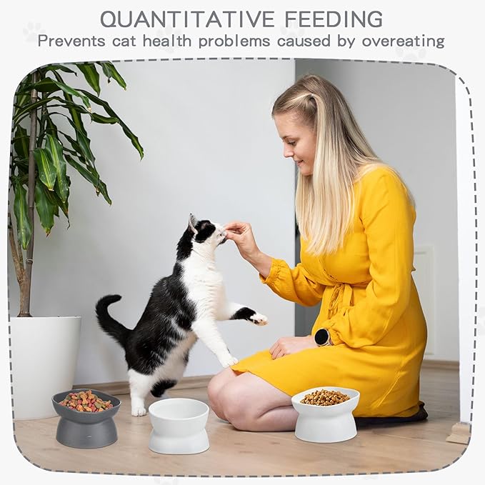 4 Pieces Plastic Tilted Elevated Cat Bowls Raised Cat Food Bowls Elevated Feeding Dish for Flat Faced Kitten Kitty Pets Supplies(White and Grey)