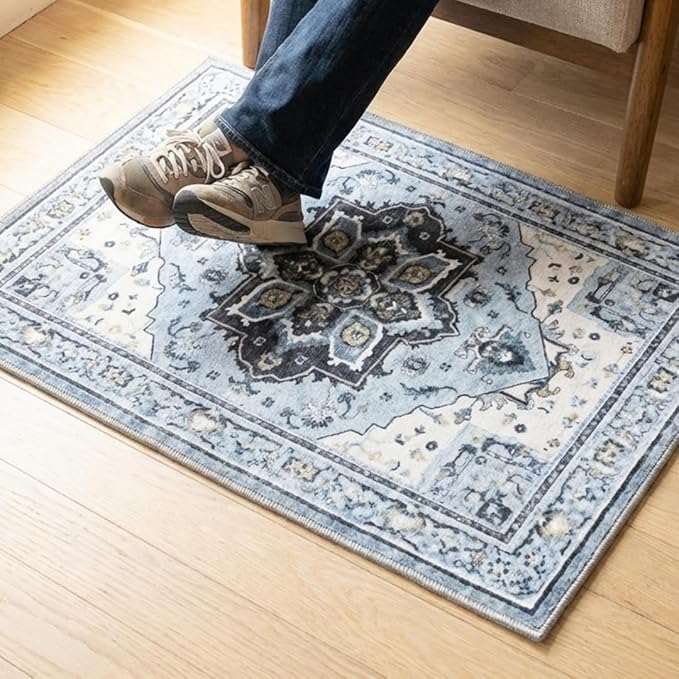 Muddy Mat짰 Azure 2ft x 3ft Washable Area Rugs for Living Room, Bedroom & Dining Room ??Modern Soft Low Pile Non Slip Carpet ??Pet Friendly Waterproof Foldable Rugs for Home