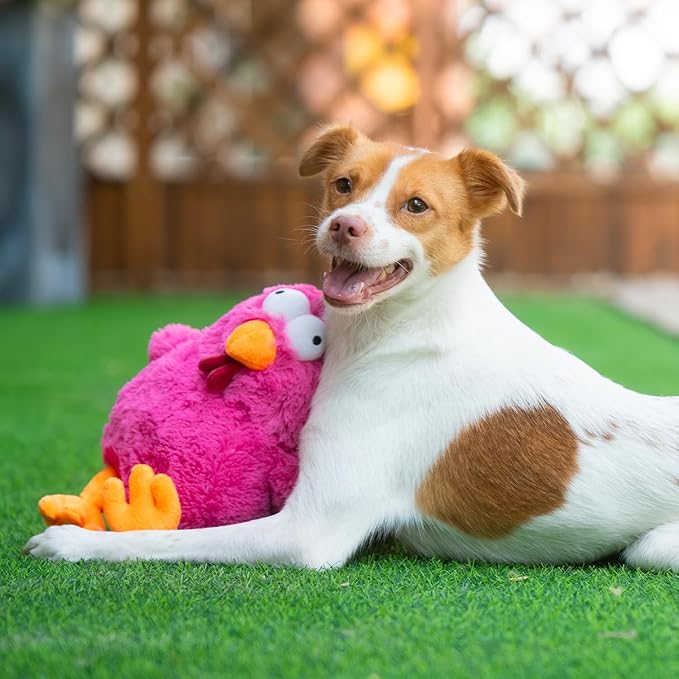 Best Pet Supplies Interactive Squeaky Dog Chew Toy, Ideal Dog Toys for Chewers, Small, Medium & Large Dogs, and Fetch Lovers - Cluck (Fuchsia), Large