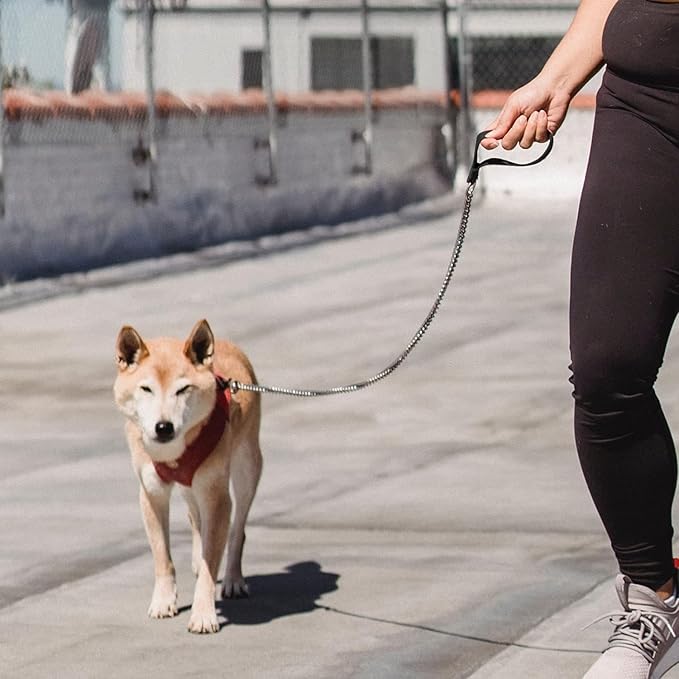 Chain Heavy Duty Metal Dog Leash, 5FTx3mm Chew Proof Pet Leash Chain with Soft Padded Handle for Large & Medium Size Dogs Walking, Training and Traveling (20-100 lbs)
