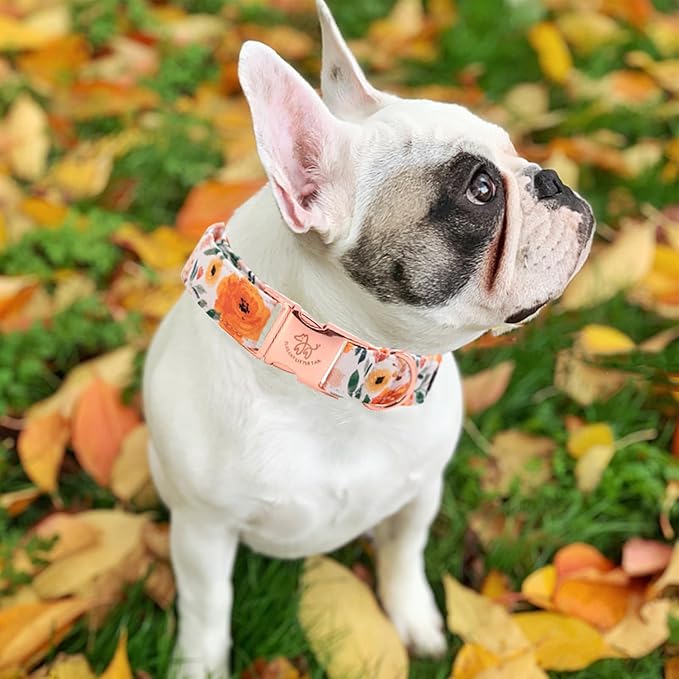 Elegant little tail Fall Dog Collar, Pet Collar Durable Orange Floral Dog Collars Male or Female Holiday Pet Gift Adjustable Dog Collar for Small Dogs