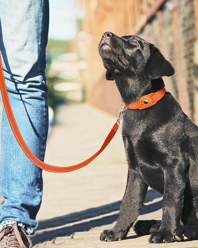 Reflective Dog Leash 6ft Soft Padded Handle Nylon Lead for Small & Medium Dogs, Durable Walking Training Leash for Night Safety (Orange,3/4Inch Wide)