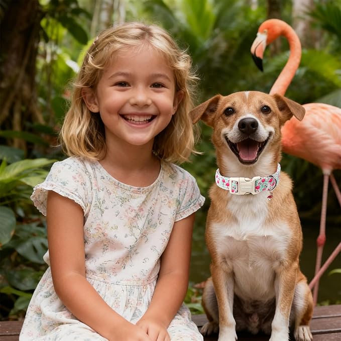 DOGWONG Pink Flamingo Dog Collar Spring Puppy Collars for Small Girl Boy Dogs Durable Soft Adjustable Dog Collar for Small Medium Large Dogs,L