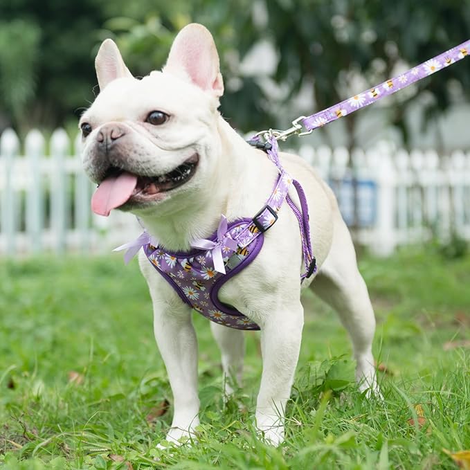 PUPTECK Dog Harness and Leash Set Small Sized, Step in No Pull Adjustable Puppy Cat Harness Reflective Pet Vest