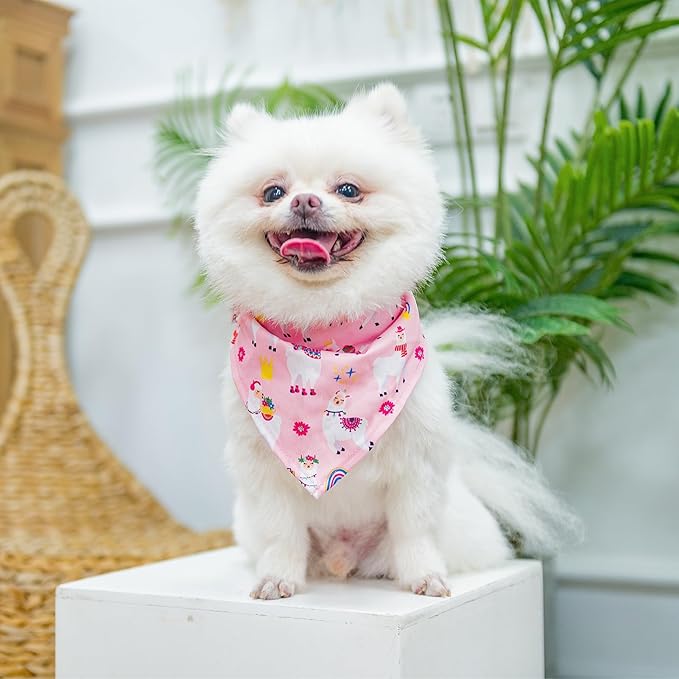 PUPTECK Adjustable Dog Harness Collar and Leash Set, Step in No Pull Pet Harness for Small Medium Dogs Puppy Cats Outdoor Walking, Soft Mesh Padded Reflective Vest Harnesses, Light Pink Alpaca, XS