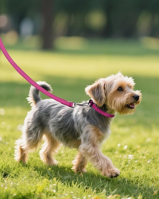 Joytale Small Dog Collar, Reflective and Adjustable Nylon Collar with Quick-Release Buckle, Lightweight No-Choke Design for Small Dogs, Hotpink, 5/8" Width