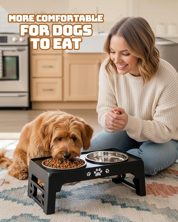 Elevated Dog Bowls, Dog Feeder with 2 Stainless Steel Dishes, 2 Heights Adjustable Raised Stand for Small Dogs, Food Dishes with Non-Slip Feet