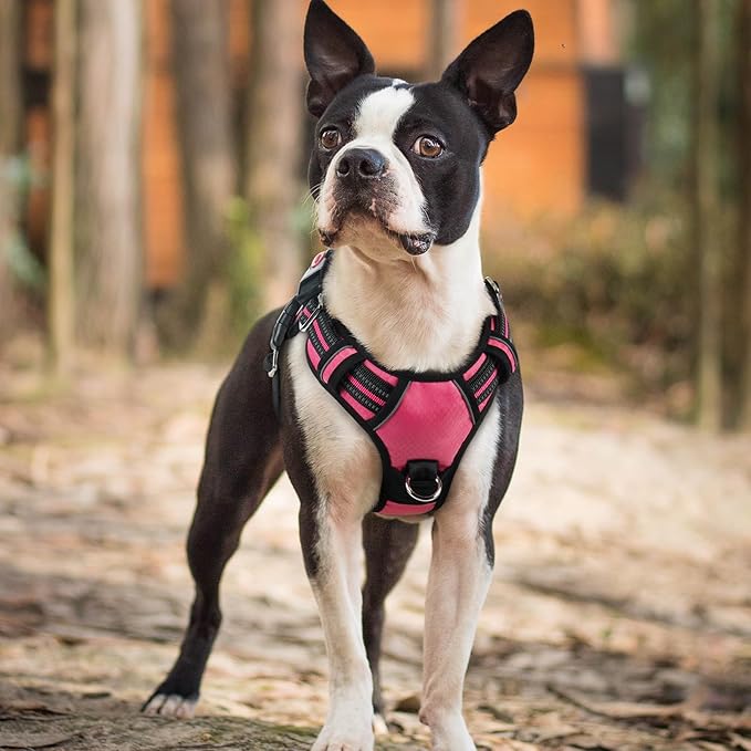 rabbitgoo Dog Harness Small Sized, No Pull Dog Vest with 3 Buckles, Adjustable Soft Padded Pet Harness with Easy Control Handle and Reflective Strips, Pink, S