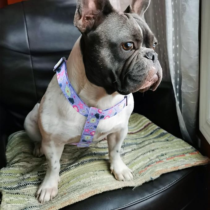 QQPETS Dog Harness Leash Set Adjustable Heavy Duty No Pull Halter Harnesses for Small Medium Large Breed Dogs Back Clip Anti-Twist Perfect for Walking
