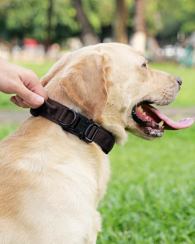 Joytale Tactical Dog Collar with Handle, Adjustable Heavy Duty Military Collar with 2 Patches for Training, Suitable for Medium Dogs, Brown, M