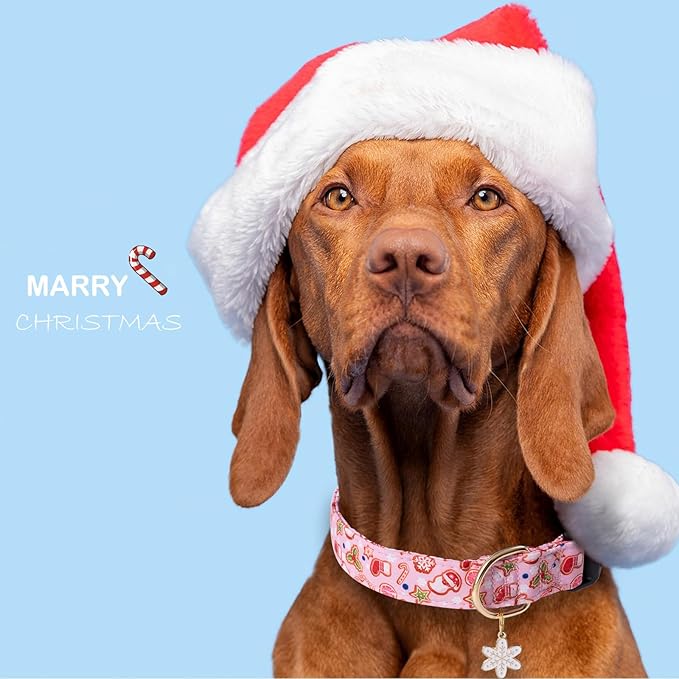Faygarsle Pink Dog Collar - Christmas Design Pattern for Small, Medium & Large Dogs