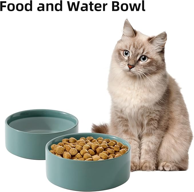 Ceramic Set of 2 Cat Bowls, Food and Water Bowls for Cats, Kitty, 2pcs Cat Dishes, Pet Feeder(5.1inch, 2 x Light Green Bowls)
