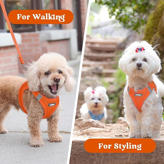rabbitgoo Small Dog Harness, Step-in Soft Mesh Puppy Vest with Safety Buckle, Breathable Reflective Pet Harness for Large Dogs, Orange XXL