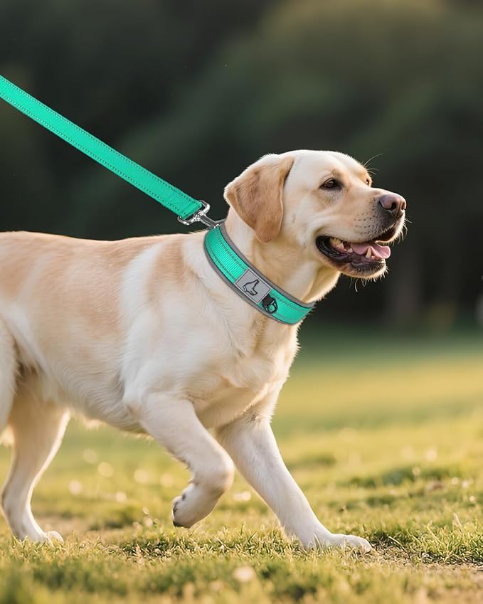Joytale Dog Collar for Large Dogs, Neoprene Padded and Adjustable, Reflective Wide Heavy Duty Pet Collars with Durable Metal Belt Buckle for Walking, Teal, L