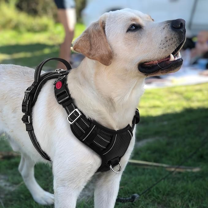 rabbitgoo Dog Harness for Large Dogs, No Pull Pet Vest with 3 Buckles, Adjustable Soft Padded Pet Harness with Easy Control Handle and Reflective Strips, Black, L