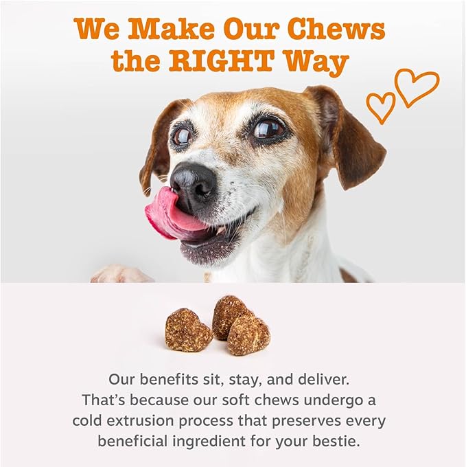 Zesty Paws Salmon Oil for Dogs Skin and Coat, Omega 3 Fish Oil Chews, Dog Allergy Relief Chews, Itch Relief Supplement, 90 Count, Bacon Flavor