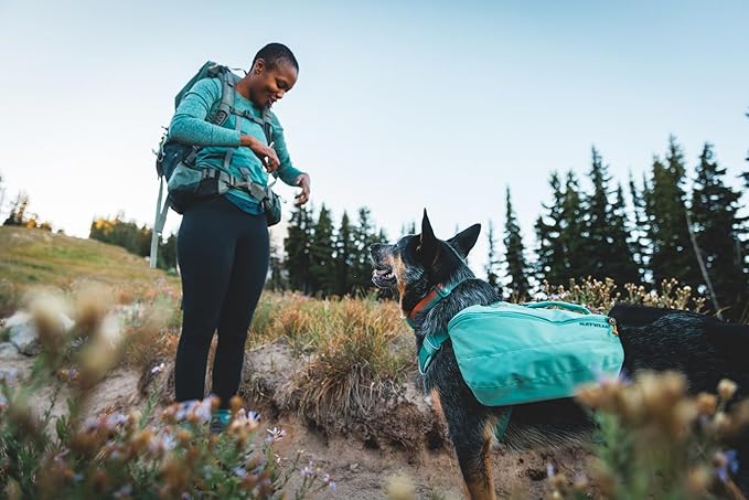 Ruffwear, Front Range Dog Collar, Adjustable Tubelok Webbing, Lightweight, Side Release Buckle, Aluminum V-Ring, Durable for Everyday Use, Blue Pool, 14"-20"