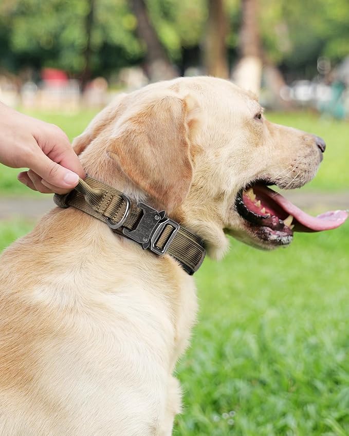 Joytale Tactical Dog Collar with Handle, Adjustable Heavy Duty Military Collar with 2 Patches for Training, Suitable for Large Dogs, Khaki, L