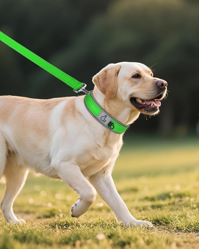 Joytale Dog Collar for Large Dogs, Neoprene Padded and Adjustable, Reflective Wide Heavy Duty Pet Collars with Durable Metal Belt Buckle for Walking, Green, L