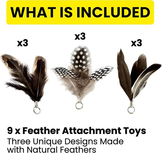 Feather Toys Replacements (9 Pc) - Cat Toys & Kitten Toys for Indoor Kittens, Set of Replacement Feather Attachments Extra Small and Durable, for Cat Wands, Natural and Safe