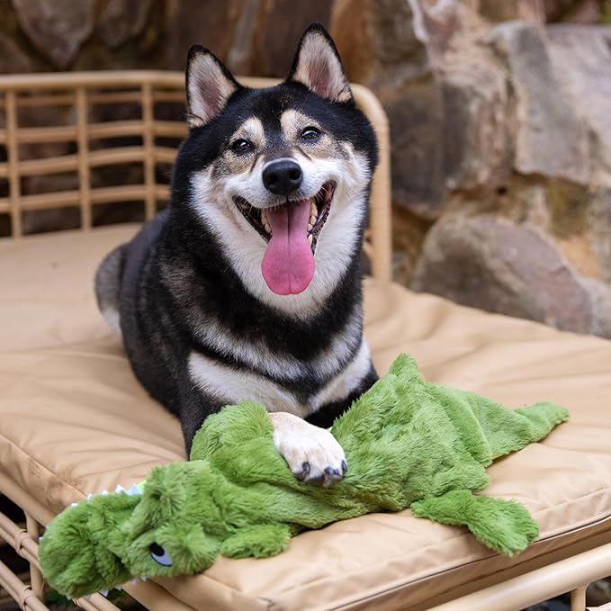 Best Pet Supplies Squeaky Dog Toys with Soft Durable Fabric for Small, Medium and Large Pets Interactive Toy for Indoor Play, Supports Active Biting and Play - 4 Figures, Medium