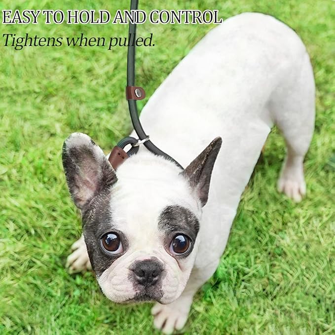 MayPaw Slip Lead Control Leash for Dogs No Pull, 13+ Colors Classic Dog Lead 7 FT Pet Slip Leash, 1/4” Rope Leashes for Small Medium Animals (7ft*1/4", Green)