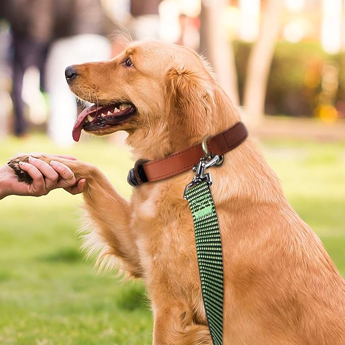 Hi Kiss Dog/Puppy Obedience Recall Training Agility Lead - 15ft 20ft 30ft 50ft 100ft Training Leash - Great for Training, Play, Camping, or Backyard(15ft,Black_Green)