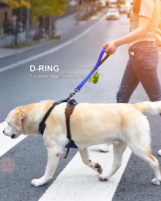 Joytale Strong Short Dog Leash 1FT, 1.2 Inch Wide, Heavy Duty, Padded Handle for Traffic Control, Reflective Leash for Medium and Large Dogs Walking Training, Royal Blue