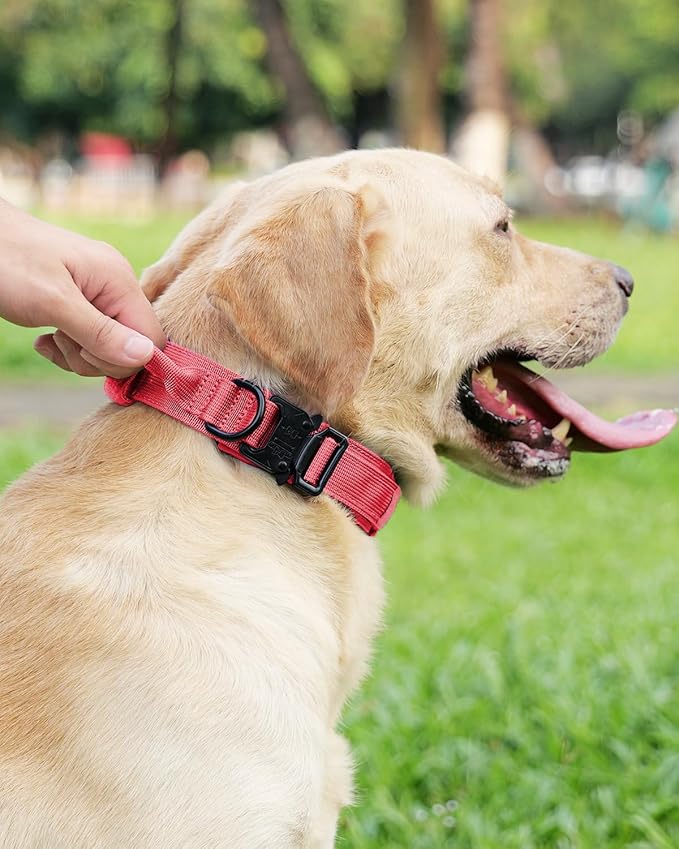Joytale Tactical Dog Collar with Handle, Adjustable Heavy Duty Military Collar with 2 Patches for Training, Suitable for Large Dogs, Hotpink, L