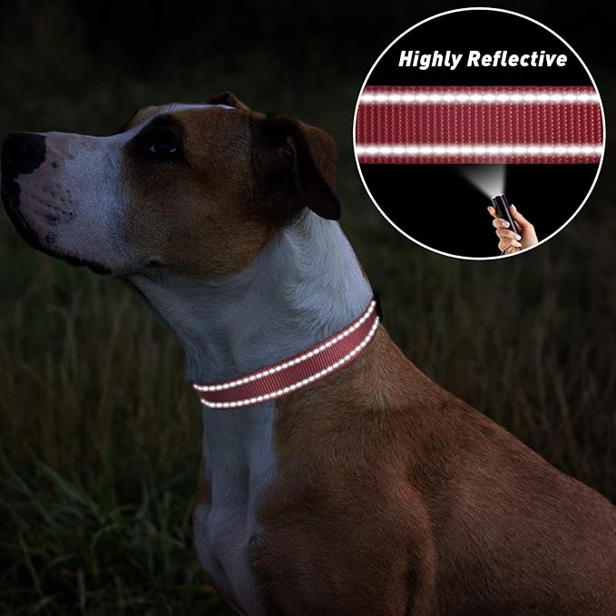 TagME Small Dog Collars, Adjustable Reflective Nylon Pet Collar with Quick Release Buckle for Small Dogs, Baby Pink, 5/8" Width