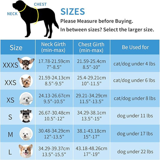 AIITLE Teacup Puppy Harness with Leash - Adjustable Soft Vest with Magic Tape & Reflective Safety Strips, Easy-Put-On for Poodles, Pomeranians - Gym, Hiking, Travel (Blue-Pink, S)