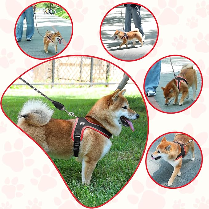 Dog Harness and Leash Set, No Pull Saddle Style Pet Harness, Breathable Mesh Adjustable Reflective Dog Vest for Dogs and Cat Medium Small Harness 2 D-Rings (Black, M)