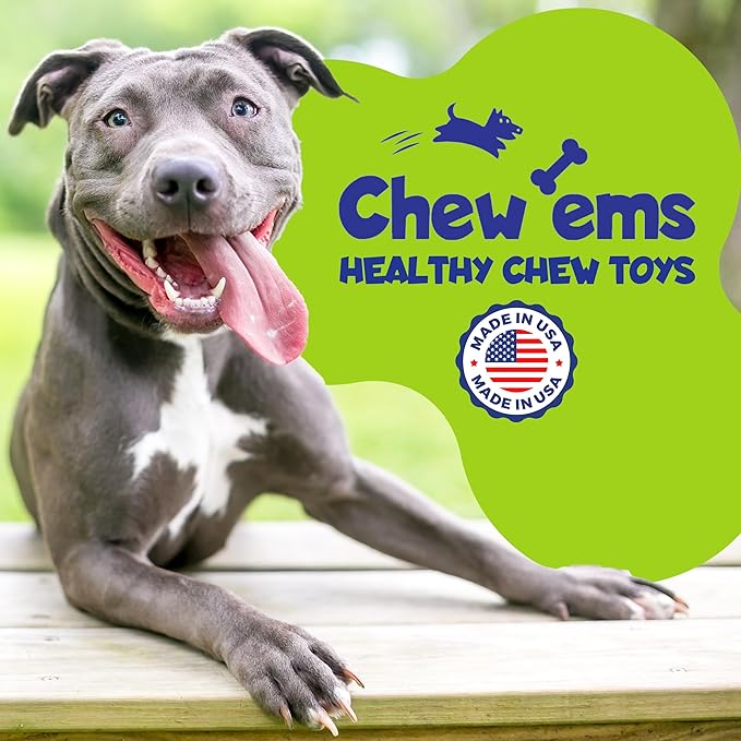 Chew’ems X Bone Dog Chew – Long-Lasting Bacon Flavor Treats for Aggressive Chewers – Rawhide-Free, Durable Dental Chews – Large Size