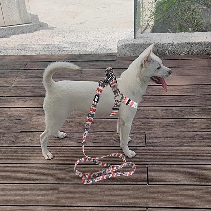 QQPETS Dog Harness Leash Set Adjustable Heavy Duty No Pull Halter Harnesses for Small Medium Large Breed Dogs Back Clip Anti-Twist Perfect for Walking