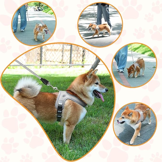 Dog Harness and Leash Set, No Pull Saddle Style Pet Harness, Breathable Mesh Adjustable Reflective Dog Vest for Dogs and Cat Medium Small Harness 2 D-Rings (Grey, M)