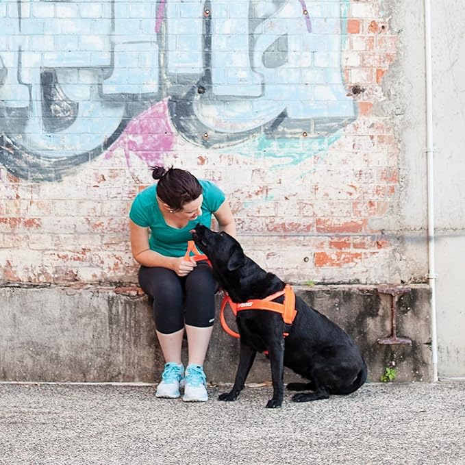 EzyDog Quick Fit Dog Harness ??No Pull Harness for Training, Everyday Walking, and Easy Control - Adjustable Fit, Reflective, and Padded (X-Small, Denim)