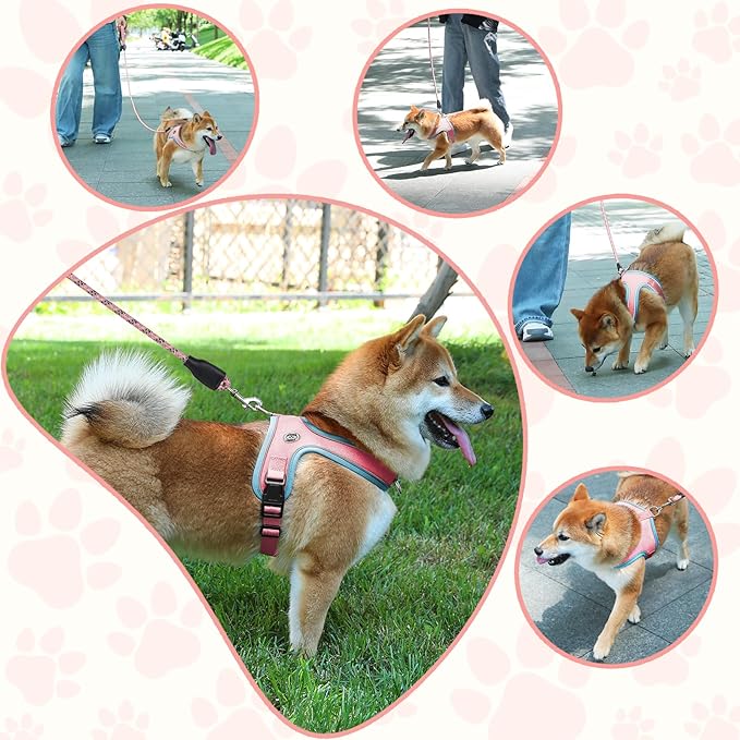 Dog Harness and Leash Set, No Pull Saddle Style Pet Harness, Breathable Mesh Adjustable Reflective Dog Vest for Dogs and Cat Medium Small Harness 2 D-Rings (Pink, L)