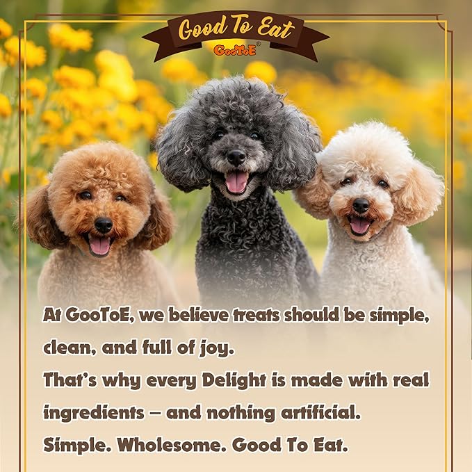 Gootoe Turkey Tendons for Dogs –All-Natural, Hypoallergenic Dog Treats, Rawhide Alternative, Long Lasting Puppy Chews, Healthy Dog Treats for Small Breeds, Bone (S), 6 Count Pack