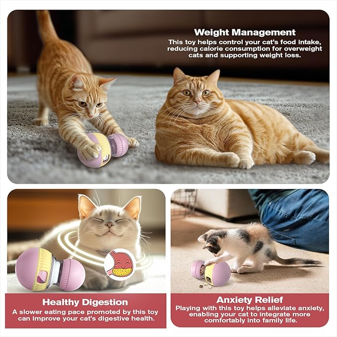 Cat Treat Dispensing Toy Kitten Puzzle Feeder & Food Dispenser Ball - Kitty Enrichment Toys for Indoor Cats Kitty Stimulating Tous