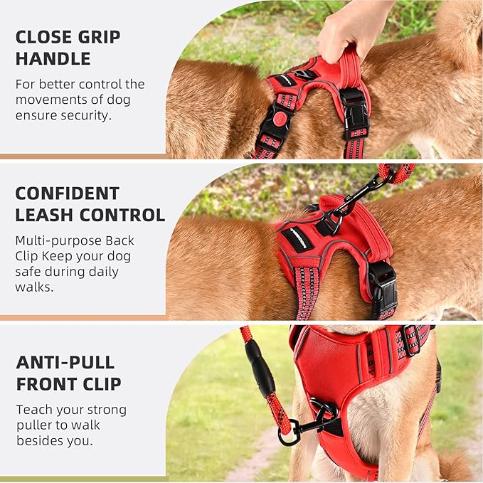 No Pull Dog Harness with A Free Heavy Duty 5ft Dog Leash, Adjustable Soft Padded Dog Vest, Reflective No-Choke Pet Oxford Vest with Easy Control Handle for Small and Large Dogs (Red, Small)