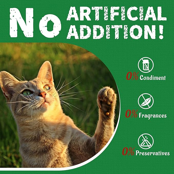 Just Try 36 OZ Cat Treats for Indoor Cats Hairball Control Natural Salmon Healthy Cat Grass Treats Kitten Snacks Training Biscuits Catnip for Cats Dental Care