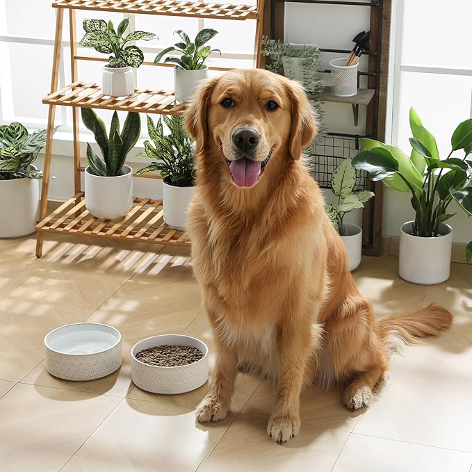 MALACASA Ceramic Dog Food Bowl, 6 Cups or 54 oz Dog Food Water Dish for Large Breeds, Pet Bowl Dishwasher & Microwave Safe, Five-Leaf Grass, Series Lydia