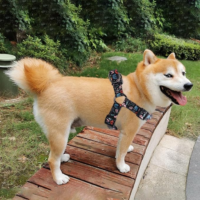QQPETS Dog Harness Leash Set Adjustable Heavy Duty No Pull Halter Harnesses for Small Medium Large Breed Dogs Back Clip Anti-Twist Perfect for Walking