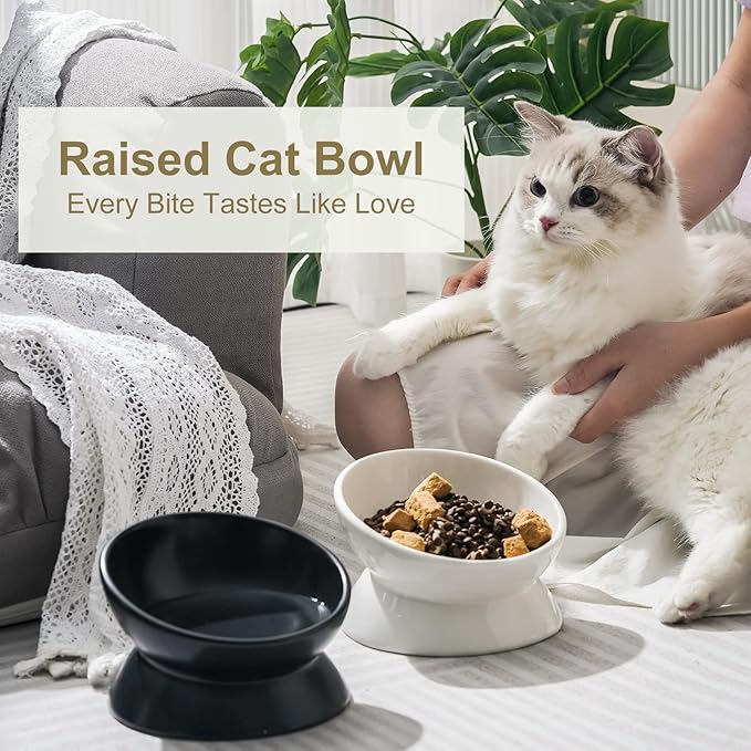 YauYik Cat Bowl Elevated Tilted - Ceramic Raised Cat Food Bowl for Cats and Small Dogs - 6 Inches Stress Free Whisker Friendly Pet Dish, Anti Vomit & Reduce Neck Burden Feeding, White, 10 Oz