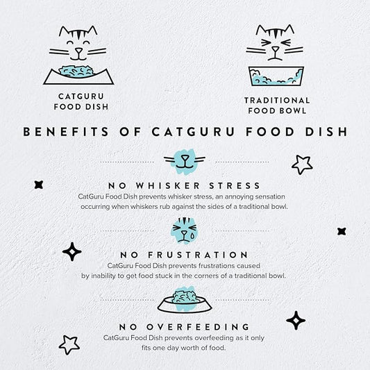 CatGuru Cat Bowls, Whisker Friendly Food Bowl for Indoor Cats, Reliefs Whisker Fatigue, Wide Kitten Dish, Non Slip Pet Dishes, Shallow Pet Plates (Stainless Steel, (Pack of 2))
