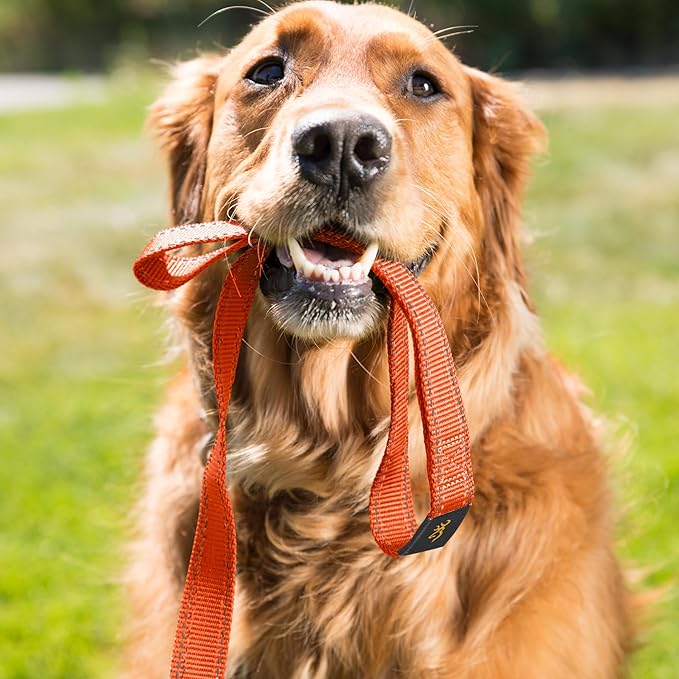 Browning Classic Dog Leash, Safety Orange, 6ft x 1in