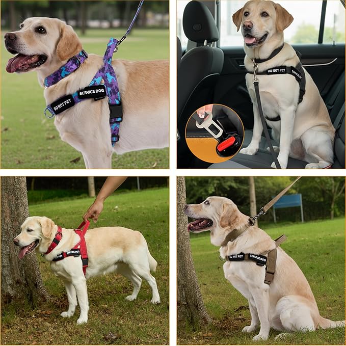 Annchwool No Pull Dog Harness,Heavy Duty Reflective Collar & Leash Set-Leash with Double Handle & Car Seatbelt Clip-Easy Control for Walking Training Medium Large Size Dogs(Black,M)
