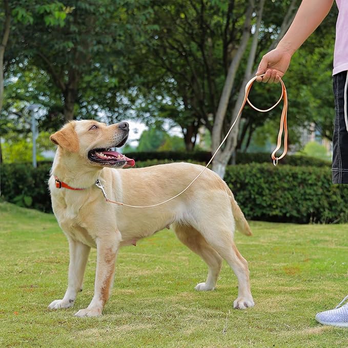 Waterproof Dog Leash, 5/6 FT Durable Odor-Proof Dog Leashes with Strong Metal Hooks Fits Small Medium or Large Dogs (Orange, 5FT - 3/4 inch Width)