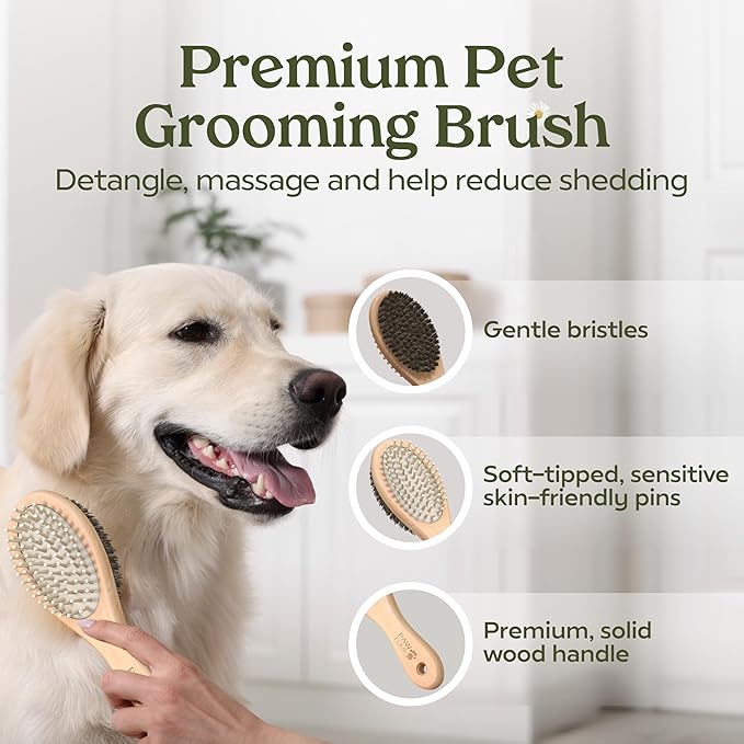 Pawfume Dog Gift Basket, 6-Piece Box – Give Your Pup a Spa-Quality Coat & Odor-Free Freshness – Probiotic Deodorizer Spray, Hypoallergenic Grooming Mist & Premium Brush – Dog Gift Boxes for All Breeds