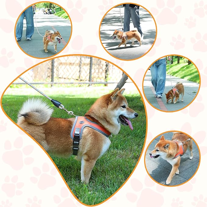 Dog Harness and Leash Set, No Pull Saddle Style Pet Harness, Breathable Mesh Adjustable Reflective Dog Vest for Dogs and Cat Medium Small Harness 2 D-Rings (Orange, M)
